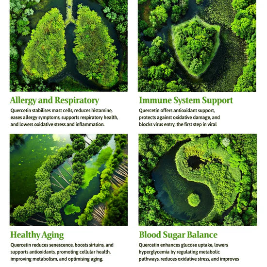 Quercetin Phytosome Complex 60 Capsules