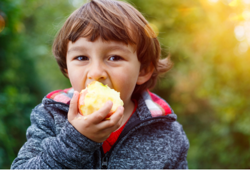 Probiotics for Kids | What to Look for & How to Support Young Gut Health