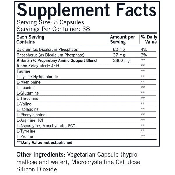 Amino Support 304 Capsules