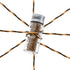 files/Render03_2.webp
